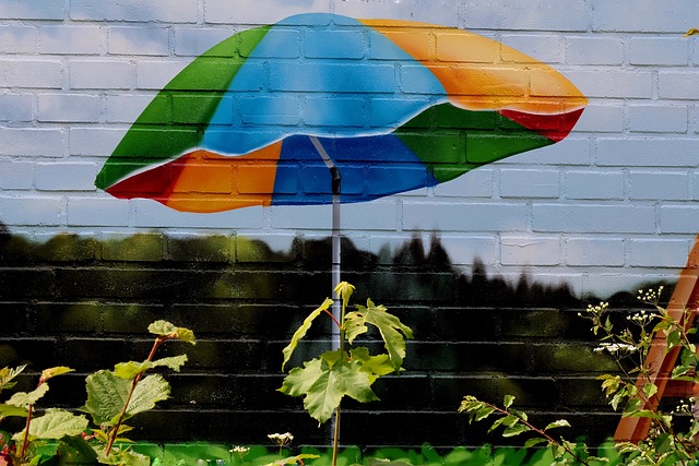 LA CRISI CLIMATICA COME PRETESTO PER NON MITIGARE ... MA ADATTARE