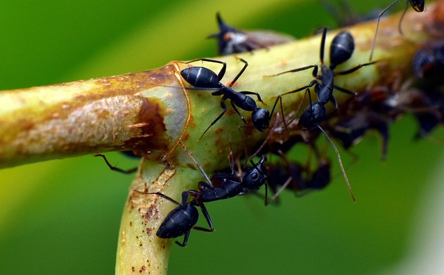L’istinto bioetico del dono gratuito alla prova dell’individualismo moderno