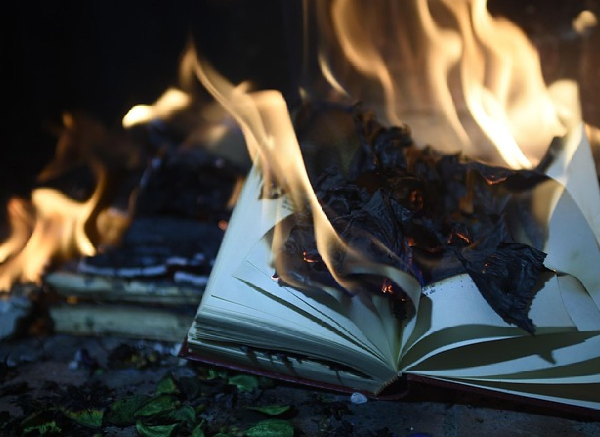 il rogo e la biblioteca