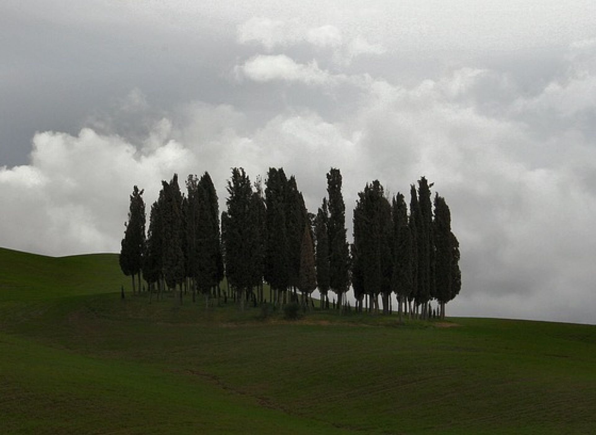 in difesa del paesaggio