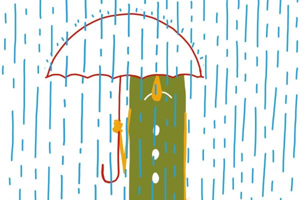 Previsioni meteo