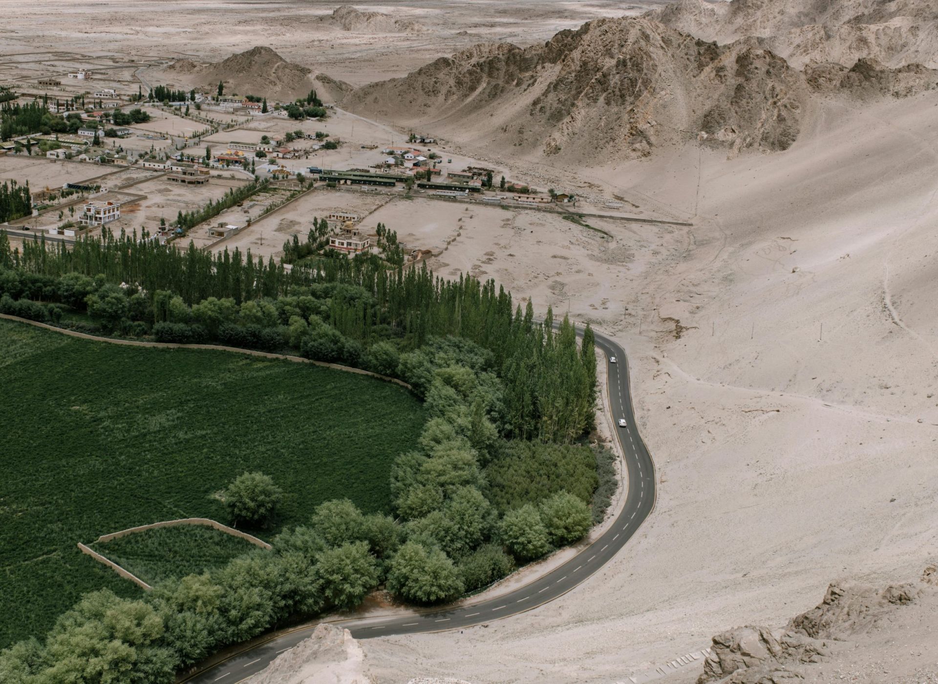 Cina: la "Grande Muraglia Verde" che sta fermando il deserto